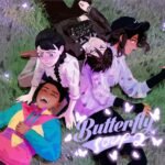Butterfly Soup
